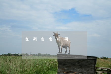 逾期需要时间 逾期需要时间