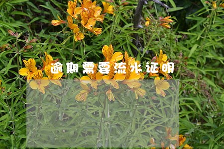 逾期需要流水证明 逾期需要流水证明