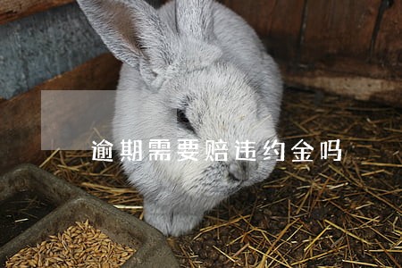 逾期需要赔违约金吗 逾期需要赔违约金吗