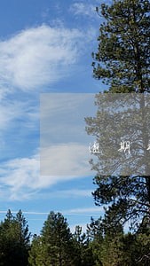 逾期非不良