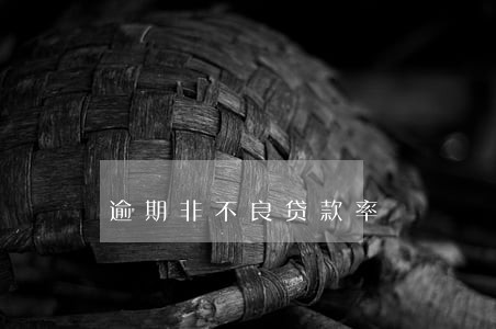逾期非不良贷款率 逾期非不良贷款率