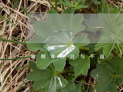 逾期非应计与不良 逾期非应计与不良