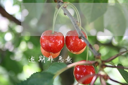 逾期非恶意 逾期非恶意