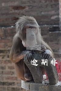 逾期非恶意证明前提还款 逾期非恶意证明前提还款
