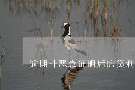 逾期非恶意证明后房贷利率上浮 逾期非恶意证明后房贷利率上浮
