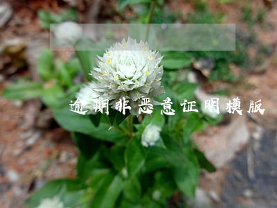 逾期非恶意证明模版 逾期非恶意证明模版
