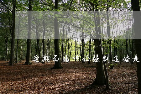 逾期面临诉讼强制追偿是什么意思 逾期面临诉讼强制追偿是什么意思