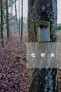 逾期面对来分期催收 逾期面对来分期催收