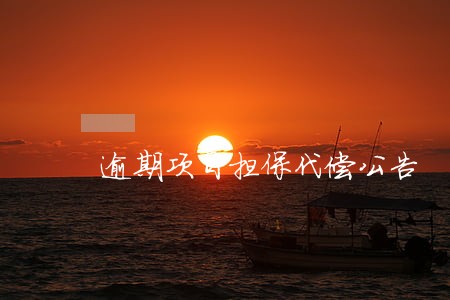 逾期项目担保代偿公告 逾期项目担保代偿公告
