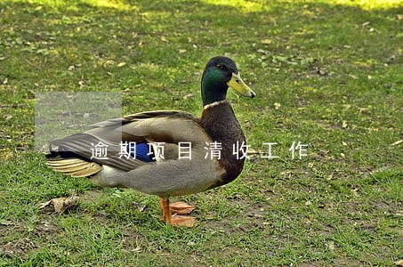 逾期项目清收工作 逾期项目清收工作