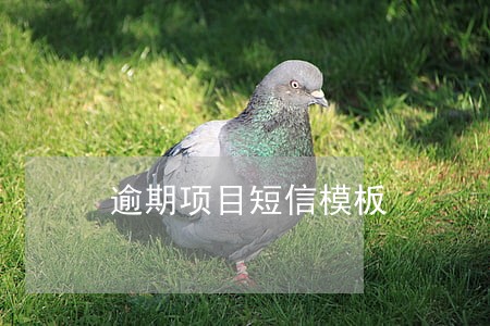 逾期项目短信模板 逾期项目短信模板