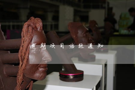 逾期项目结题通知 逾期项目结题通知