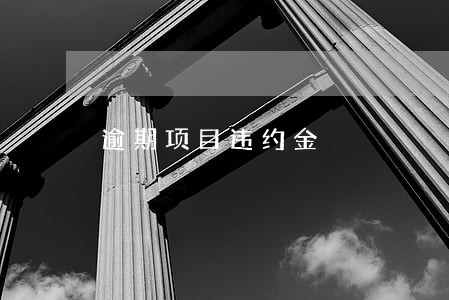 逾期项目违约金 逾期项目违约金