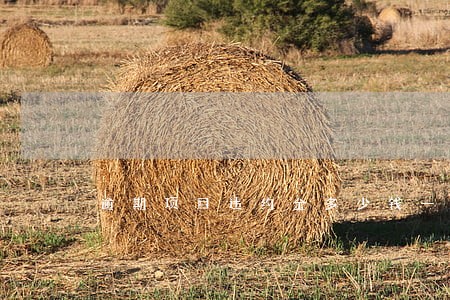 逾期项目违约金多少钱一天 逾期项目违约金多少钱一天