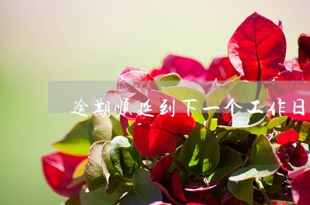 逾期顺延到下一个工作日 逾期顺延到下一个工作日