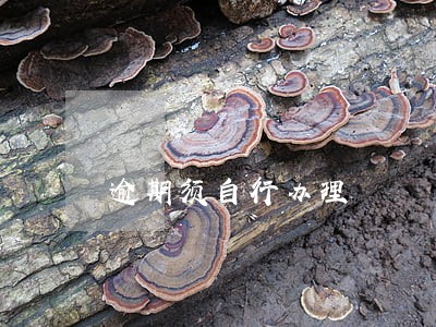 逾期须自行办理 逾期须自行办理