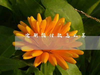 逾期预付款怎么算 逾期预付款怎么算