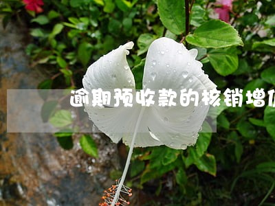 逾期预收款的核销增值税问题 逾期预收款的核销增值税问题