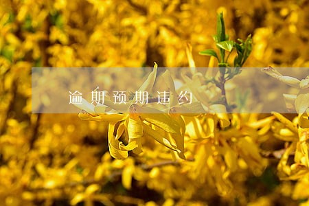 逾期预期违约 逾期预期违约
