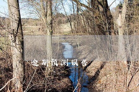 逾期预测报告 逾期预测报告