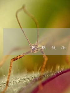 逾期预测担保圈 逾期预测担保圈