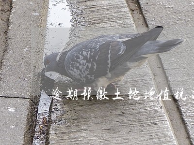 逾期预缴土地增值税罚款 逾期预缴土地增值税罚款