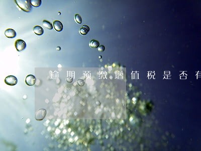 逾期预缴增值税是否有滞纳金 逾期预缴增值税是否有滞纳金
