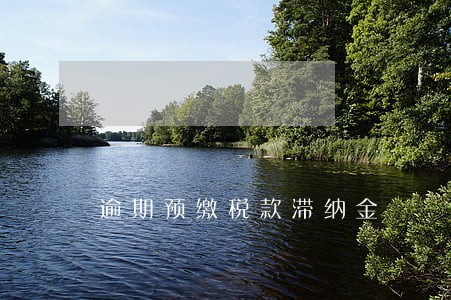 逾期预缴税款滞纳金 逾期预缴税款滞纳金