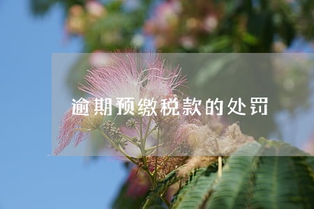 逾期预缴税款的处罚 逾期预缴税款的处罚