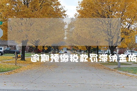 逾期预缴税款罚滞纳金依据 逾期预缴税款罚滞纳金依据
