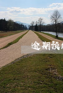 逾期预缴税证明 逾期预缴税证明