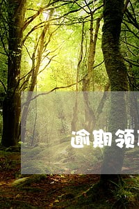 逾期领取上诉状 逾期领取上诉状