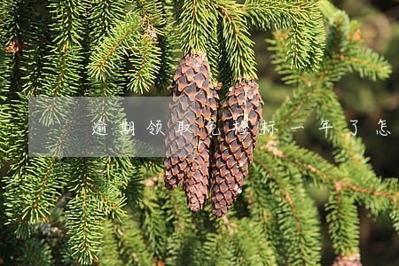 逾期领取免检标一年了怎么办 逾期领取免检标一年了怎么办