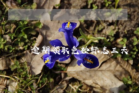 逾期领取免检标志三天 逾期领取免检标志三天