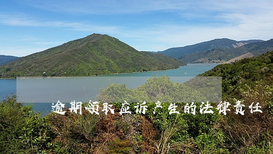 逾期领取应诉产生的法律责任 逾期领取应诉产生的法律责任