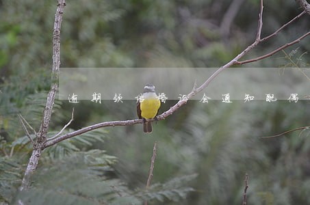 逾期领结婚证会通知配偶和父母么 逾期领结婚证会通知配偶和父母么