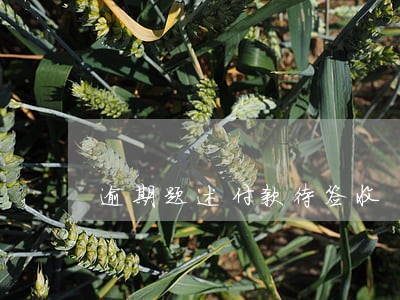 逾期题述付款待签收 逾期题述付款待签收