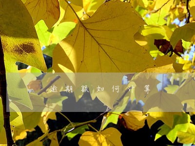 逾期额如何计算 逾期额如何计算