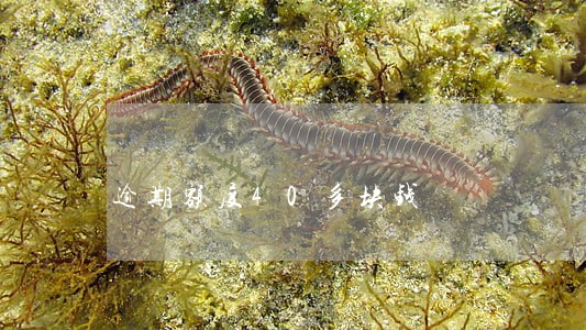 逾期额度40多块钱 逾期额度40多块钱