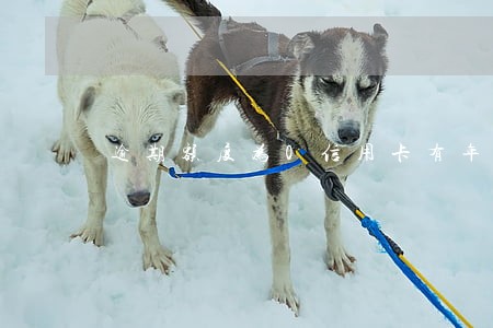 逾期额度为0信用卡有年费吗 逾期额度为0信用卡有年费吗