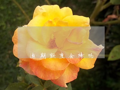 逾期额度会降吗 逾期额度会降吗