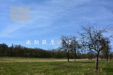 逾期额度冻结 逾期额度冻结