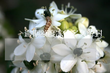逾期额度冻结多久解封 逾期额度冻结多久解封