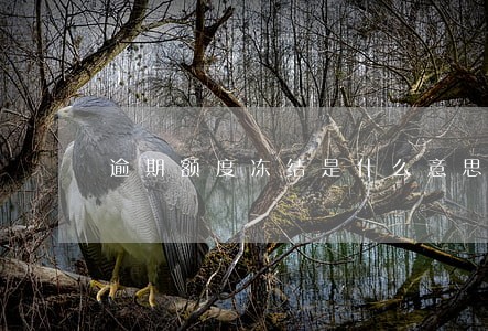 逾期额度冻结是什么意思 逾期额度冻结是什么意思