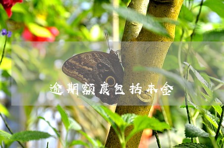 逾期额度包括本金 逾期额度包括本金