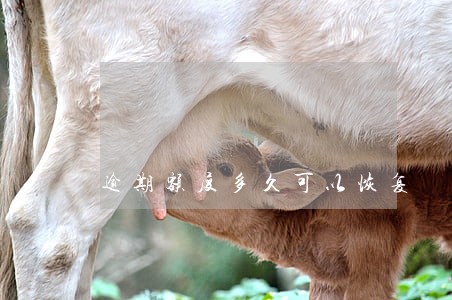 逾期额度多久可以恢复 逾期额度多久可以恢复