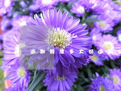 逾期额度多大可达到立案 逾期额度多大可达到立案