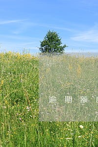 逾期额度多少才买不到车票 逾期额度多少才买不到车票