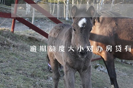 逾期额度大小对办房贷有影响吗 逾期额度大小对办房贷有影响吗