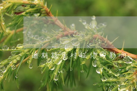 逾期额度对征信的影响 逾期额度对征信的影响